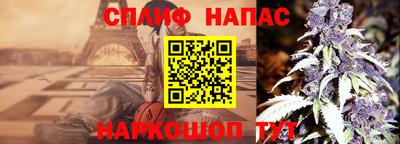 гидра Шебекино