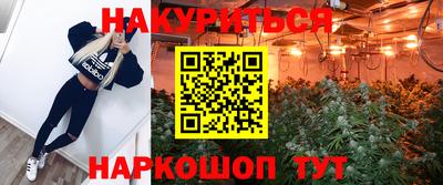 гидра Шебекино