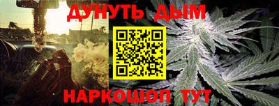 гидра Шебекино